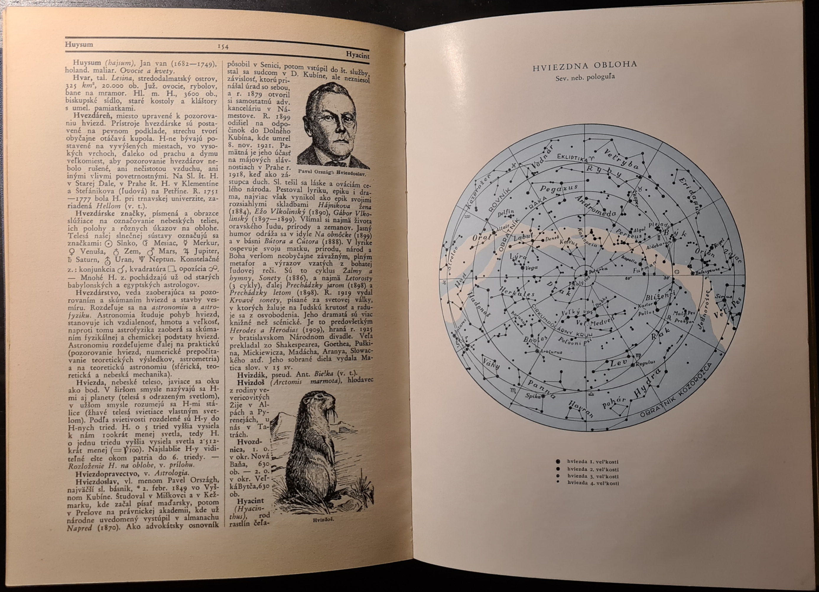 Slovenský náučný slovník II.