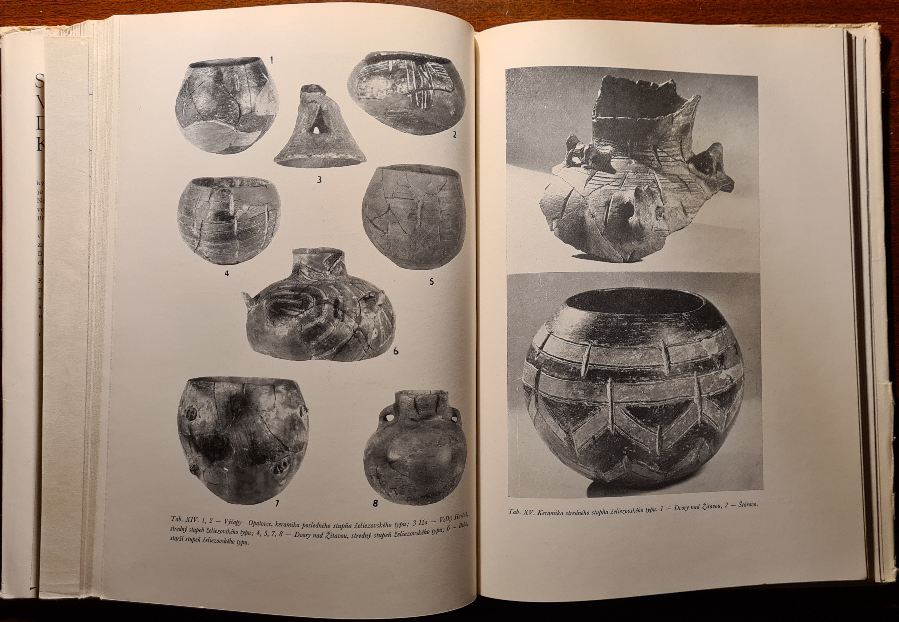 Slovensko v mladšej dobe kamennej