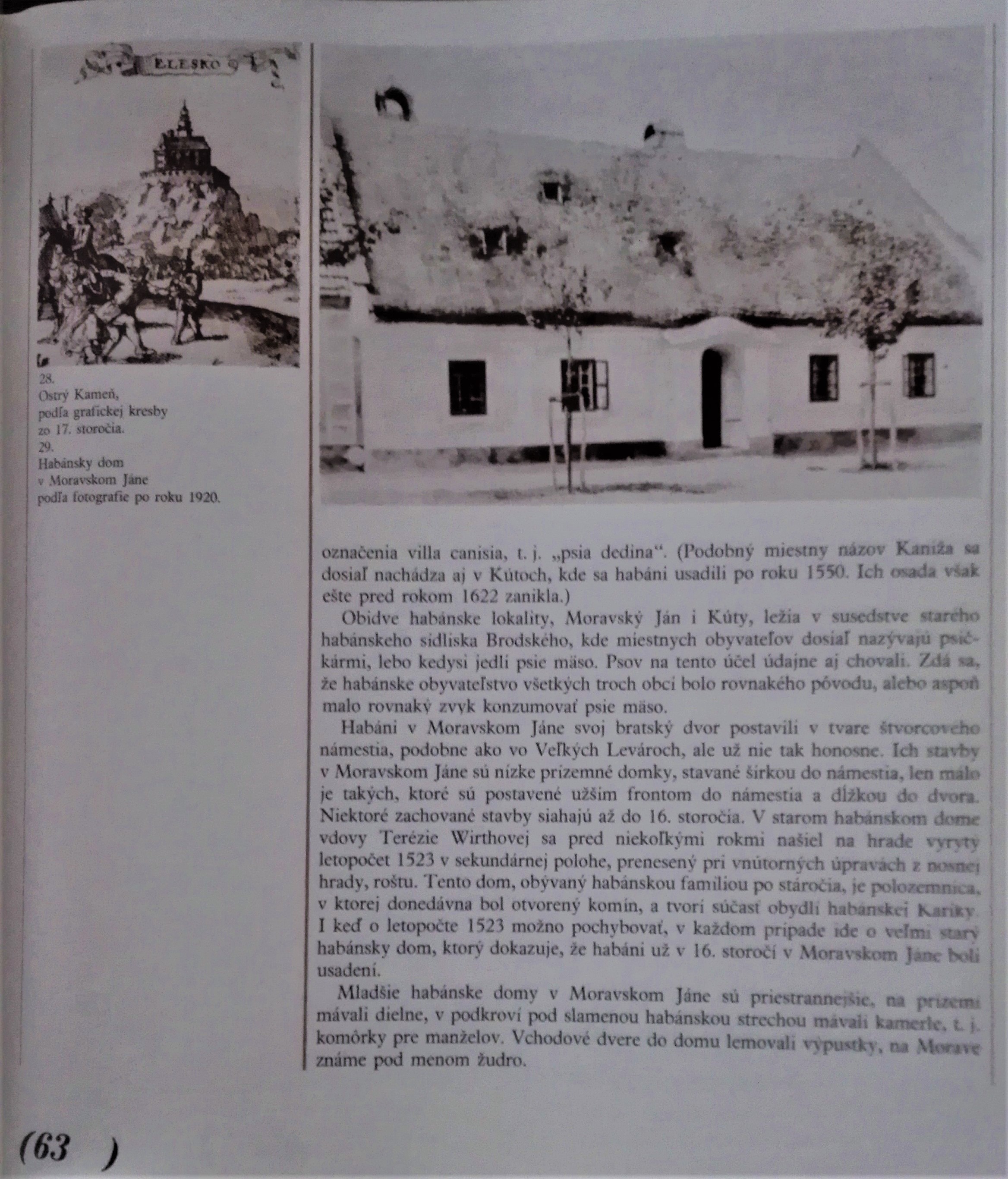 Habáni na Slovensku