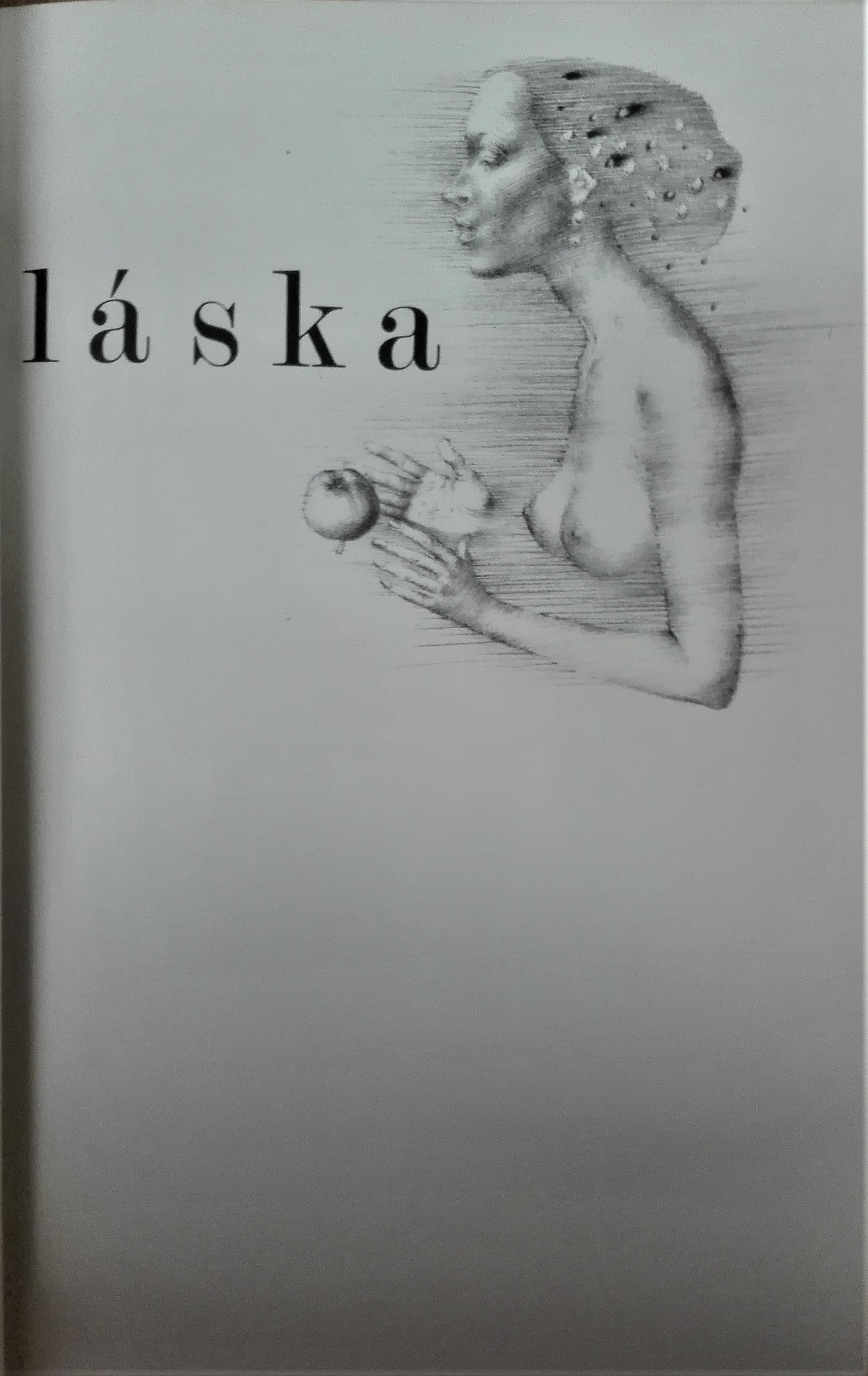 Zakázaná láska (I. vydanie)