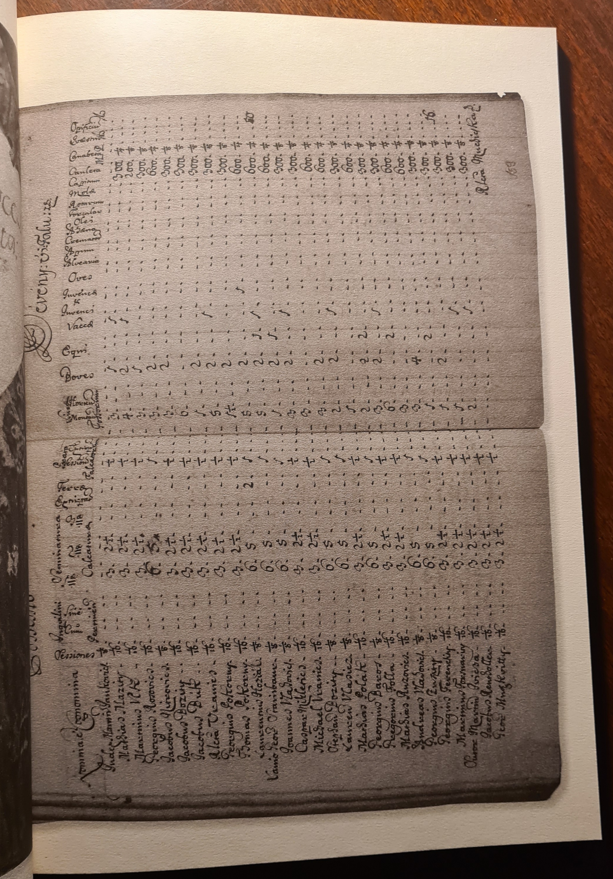 Zlatá kniha prameňov k dejinám Devínskej Novej Vsi