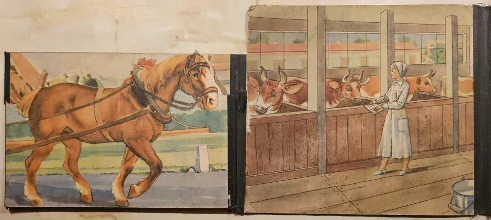 Náš dvor (vysekávané leporelo)