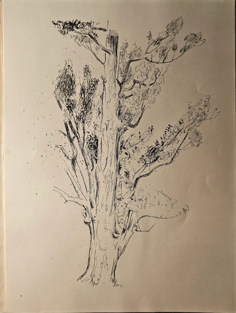 Emil Makovický: Vývraty