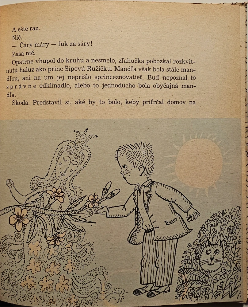 Ostrov kapitána Hašašara