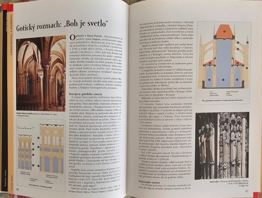 Dejiny umenia (maliarstvo - sochárstvo - architektúra)