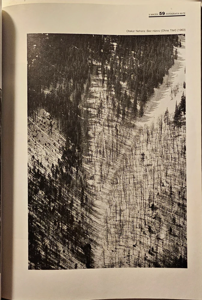 Slovenská fotografia šesťdesiatych rokov 