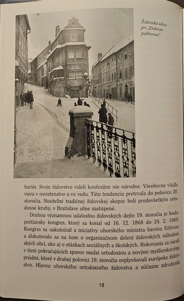 Mozaika židovskej Bratislavy