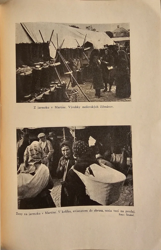 Integrálna dedina (Štúdia slovenskej zemianskej dediny v Turci) 