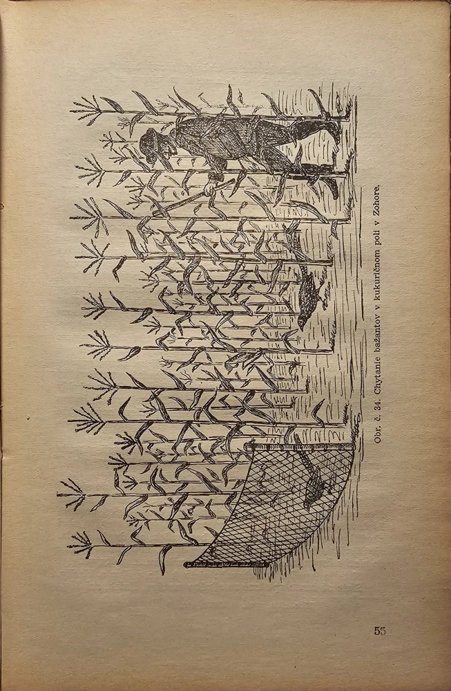 Ľudové poľovníctvo na Slovensku