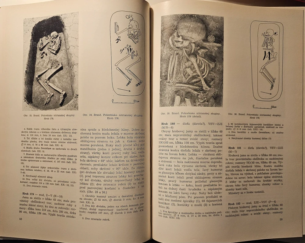 Pohrebiská zo staršej doby bronzovej v Branči