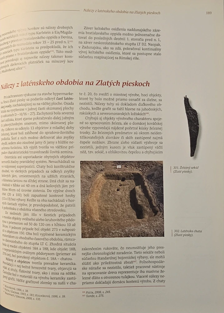 Dejiny Bratislavy (1.) Od počiatkov do prelomu 12. a 13. storočia 