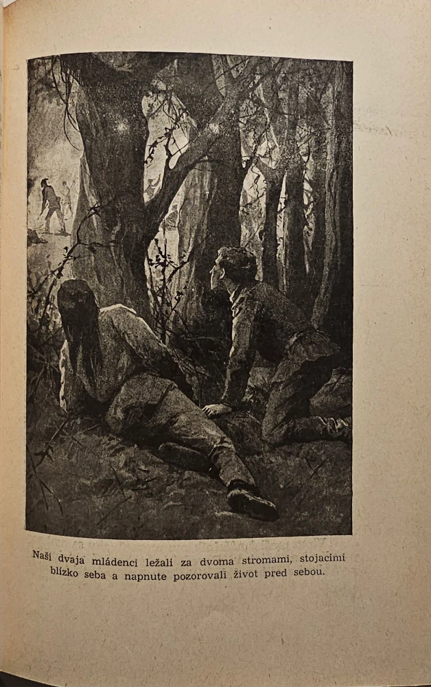 Posledná vôľa Inkova