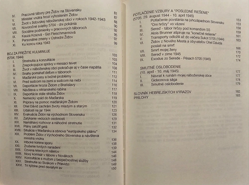 Z denníka mladého rabína