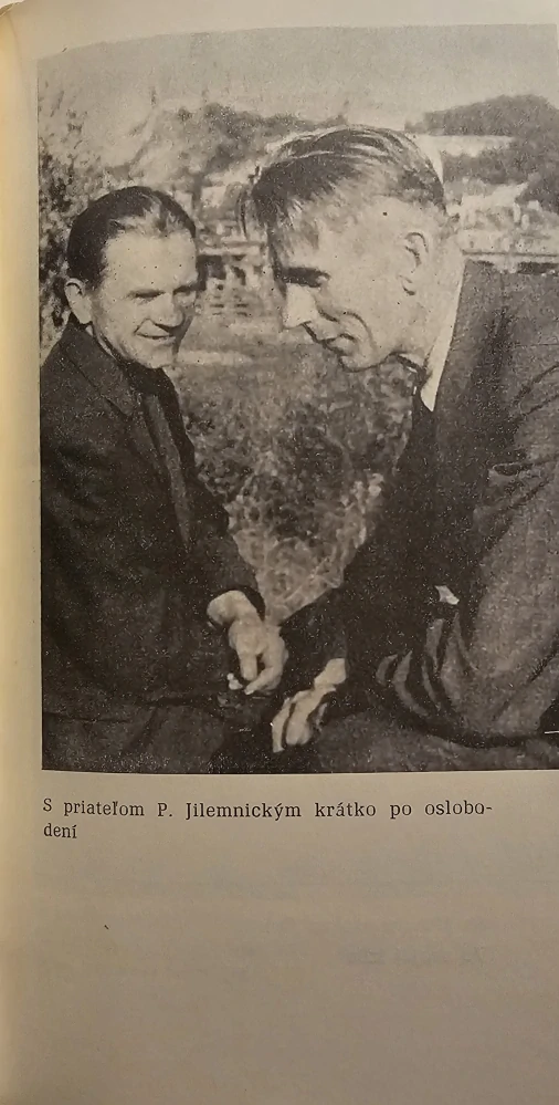 Próza Fraňa Kráľa 