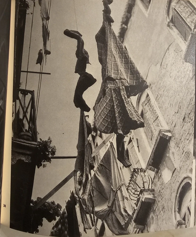 Magdaléna Robinsonová