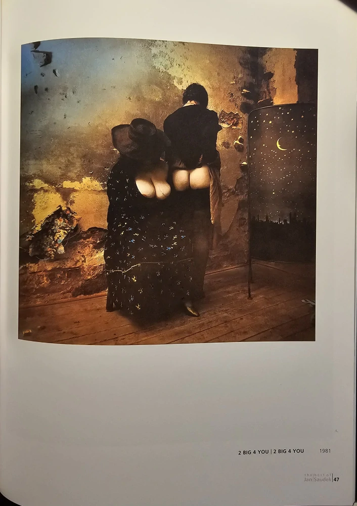 The Best of Jan Saudek