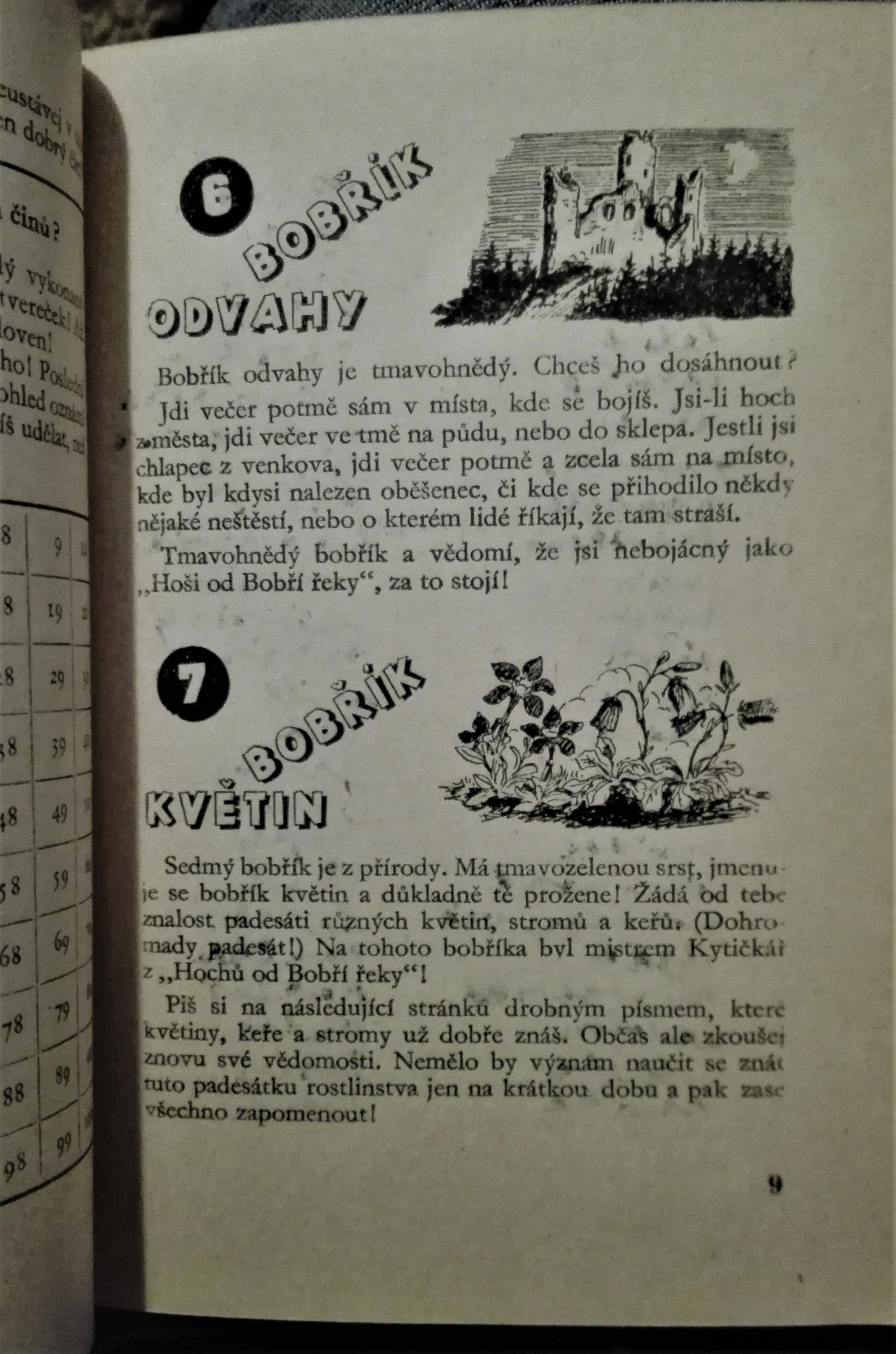 Zápisník 13. bobříků