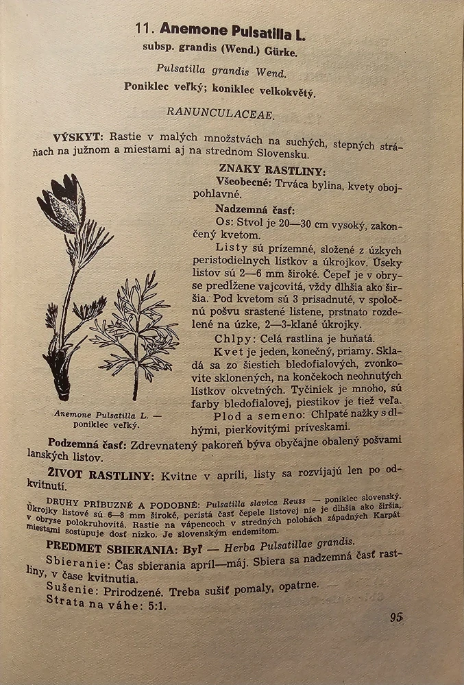 Slovenský herbár I. - II.