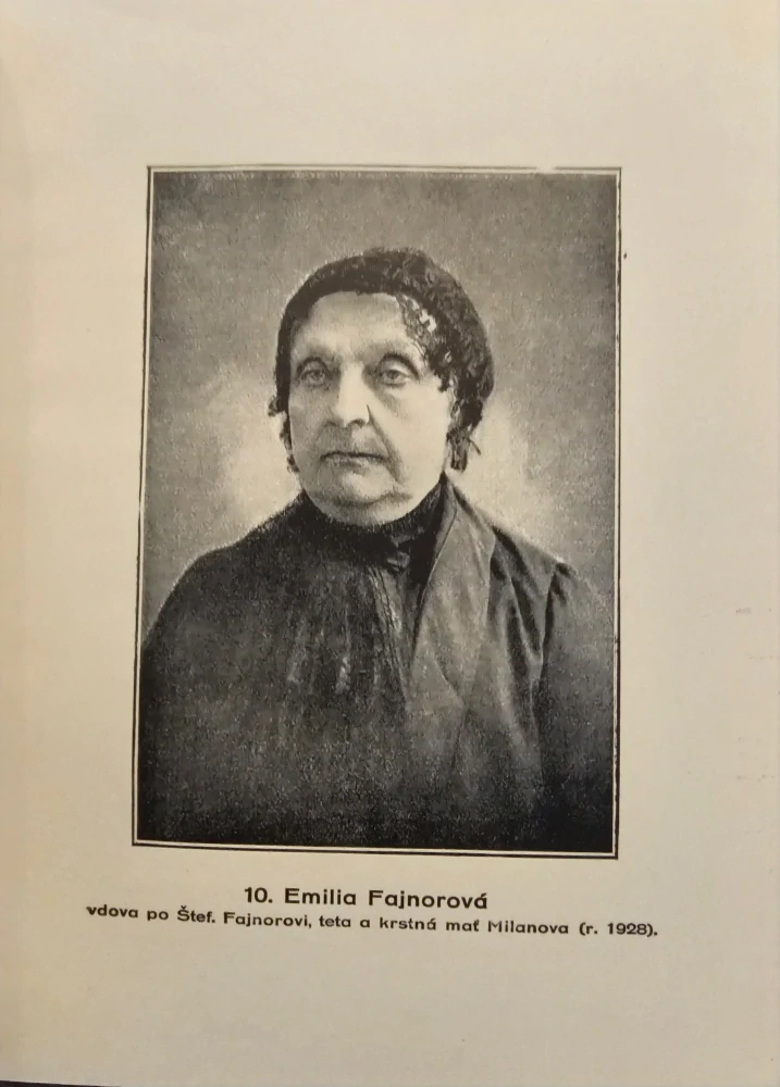 Pamiatke Štefánikovej (výbor článkov a úvah)