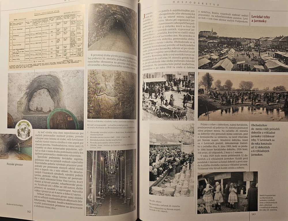 Levice: Monografia mesta