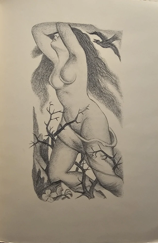 Svetlo nad horami /s podpisom 