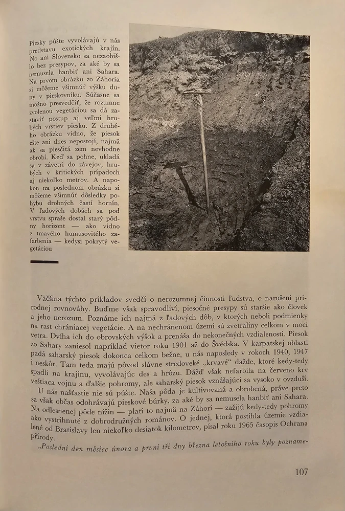 Predveká Bratislava (knižná séria "Odkryté dejiny")