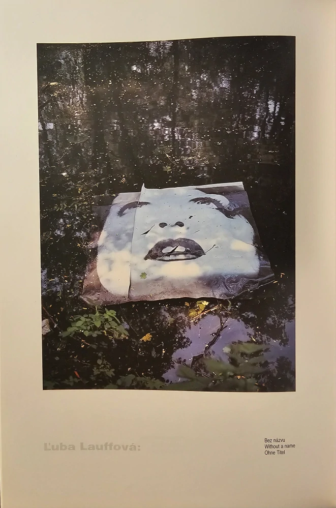 Súčasná slovenská fotografia /s podpisom