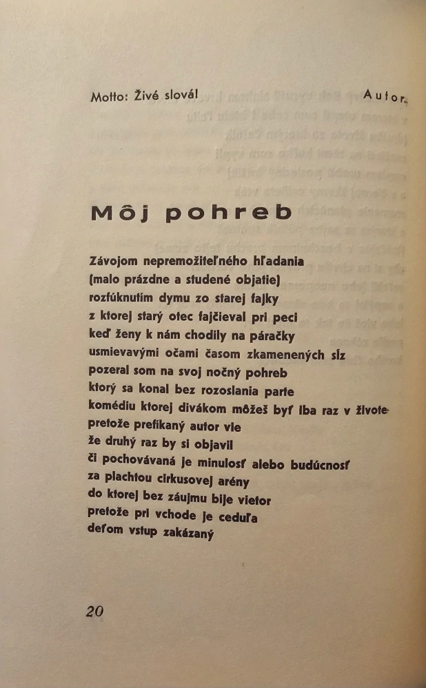 Meditácie blázna