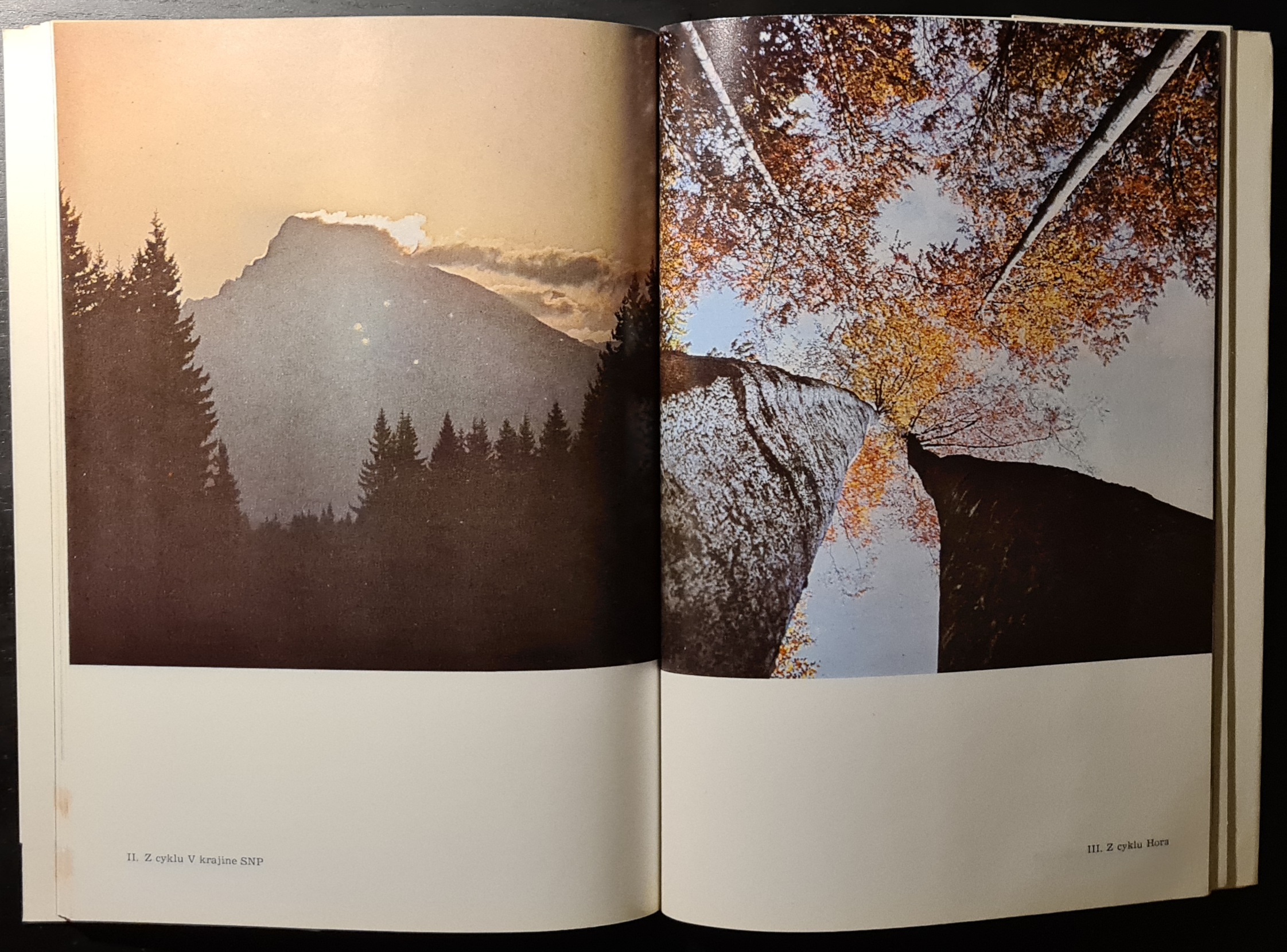 Ester Martinčeková - Šimerová (obrazy a kresby) / Martin Martinček (fotografie)