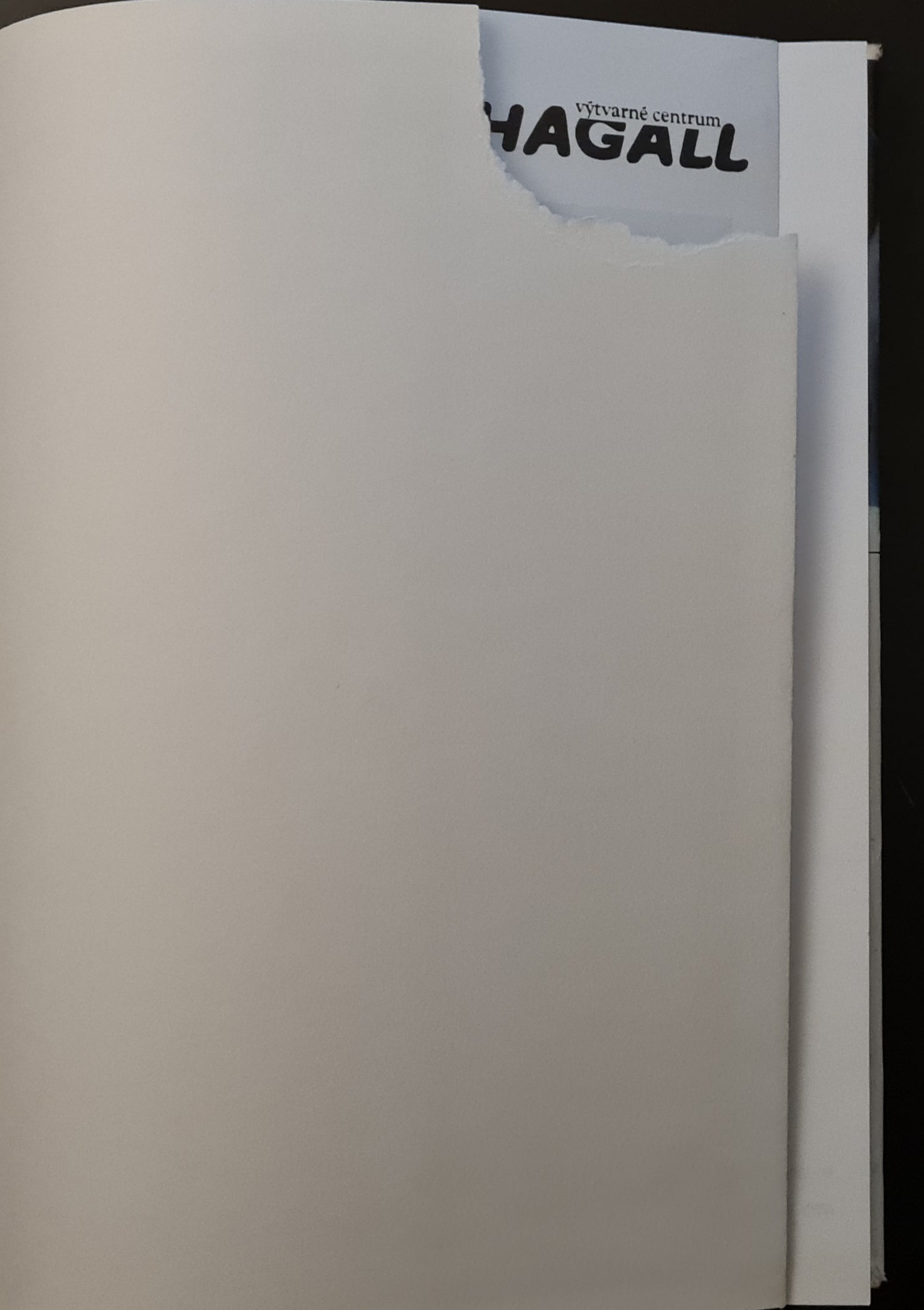 Slovník českých a slovenských výtvarných umělců 1950-1999 CH-J