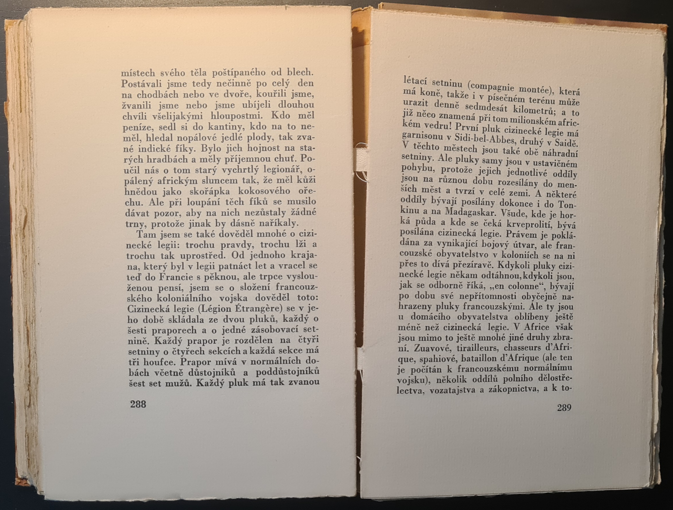 Baldamus a jeho dobrodružný život