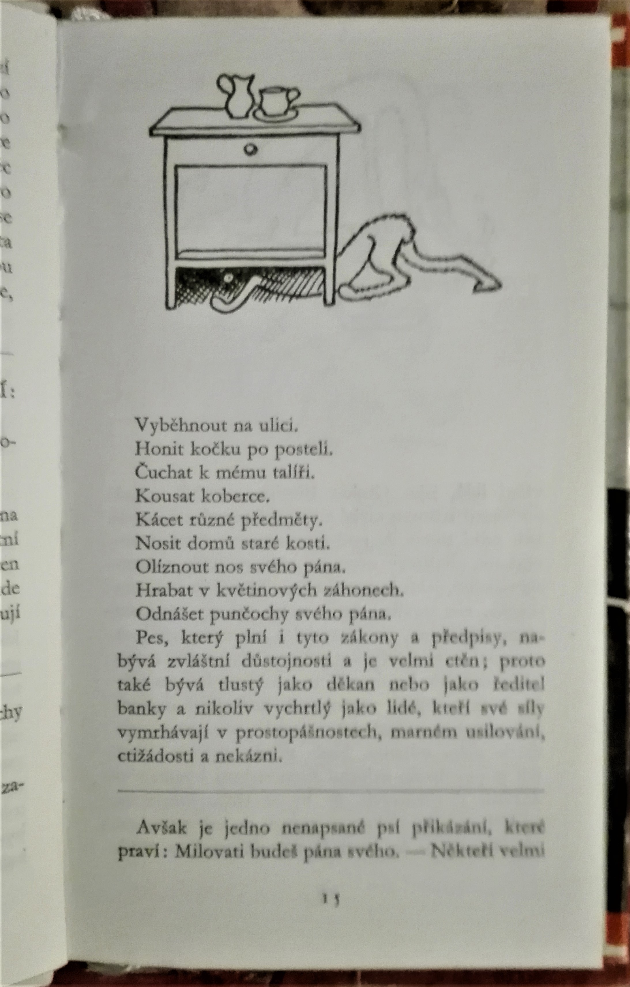 Měl jsem psa a kočku