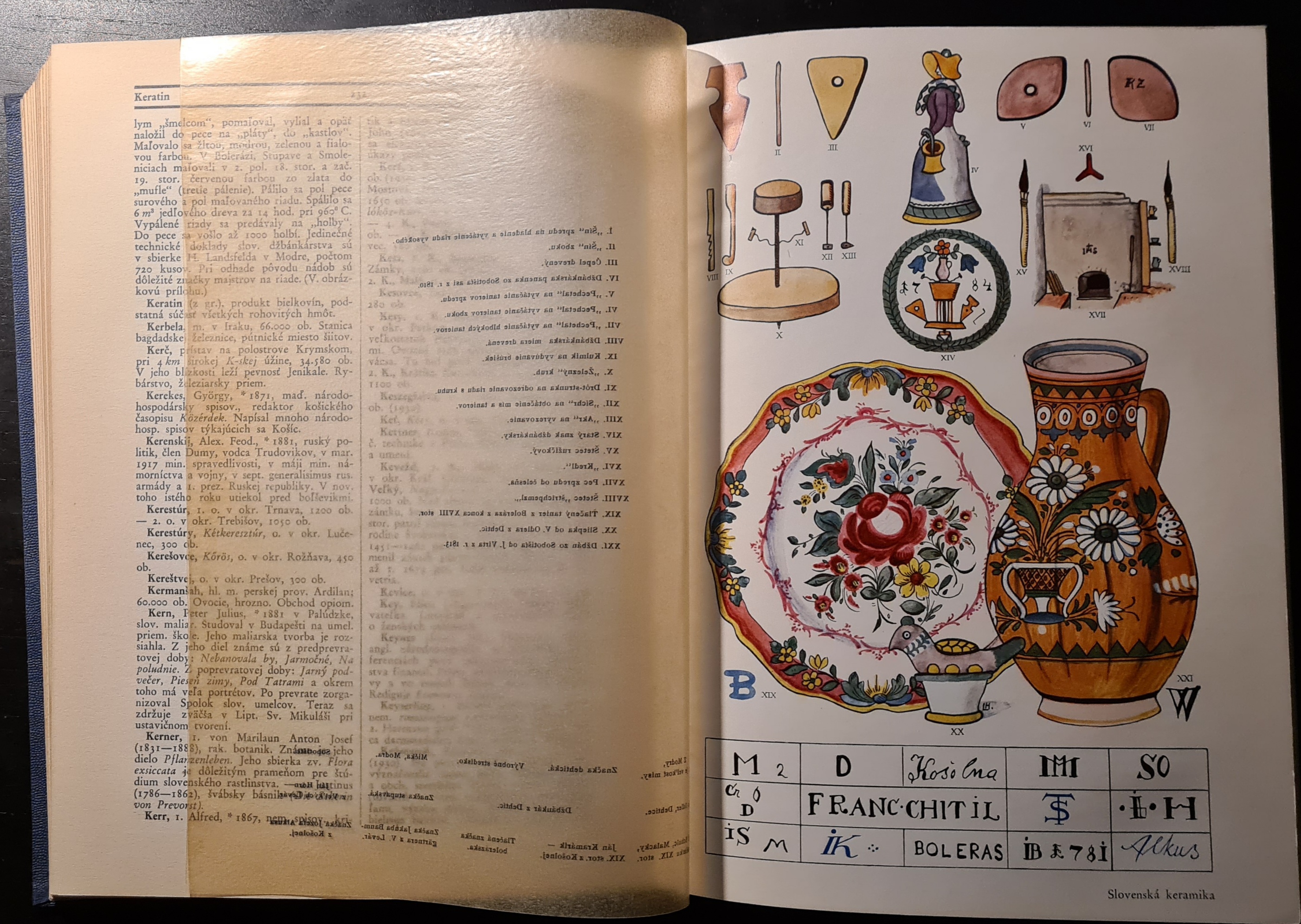 Slovenský náučný slovník II.