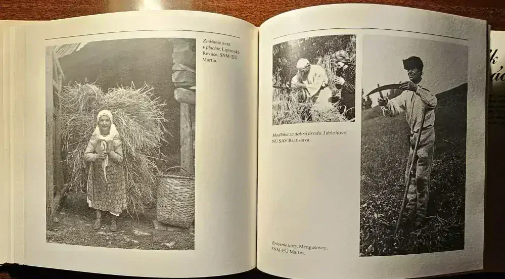 Roľník a jeho práca 