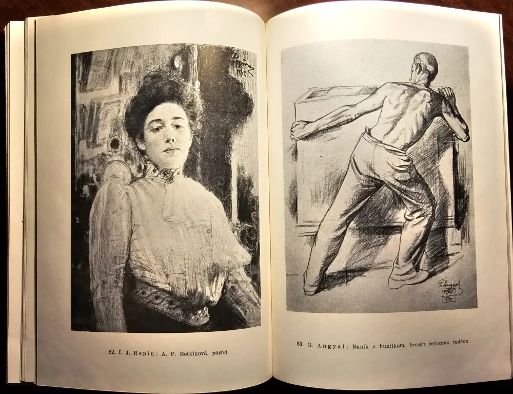 Kreslenie a maľovanie (Učebná príručka pre amatérov)