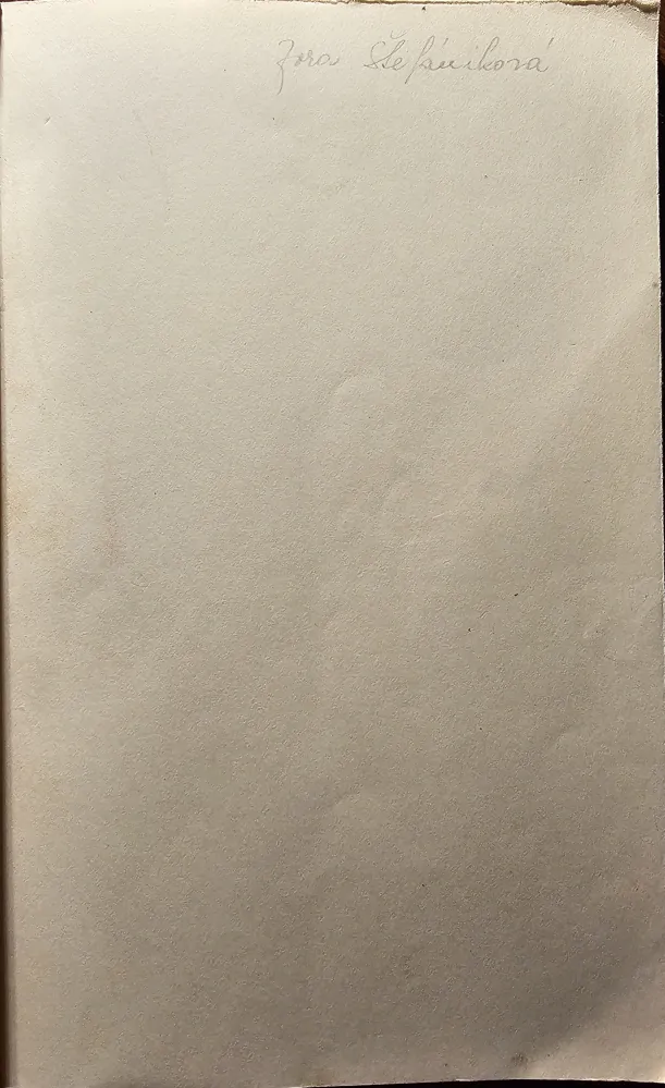 M. R. Štefánik v mém deníku 