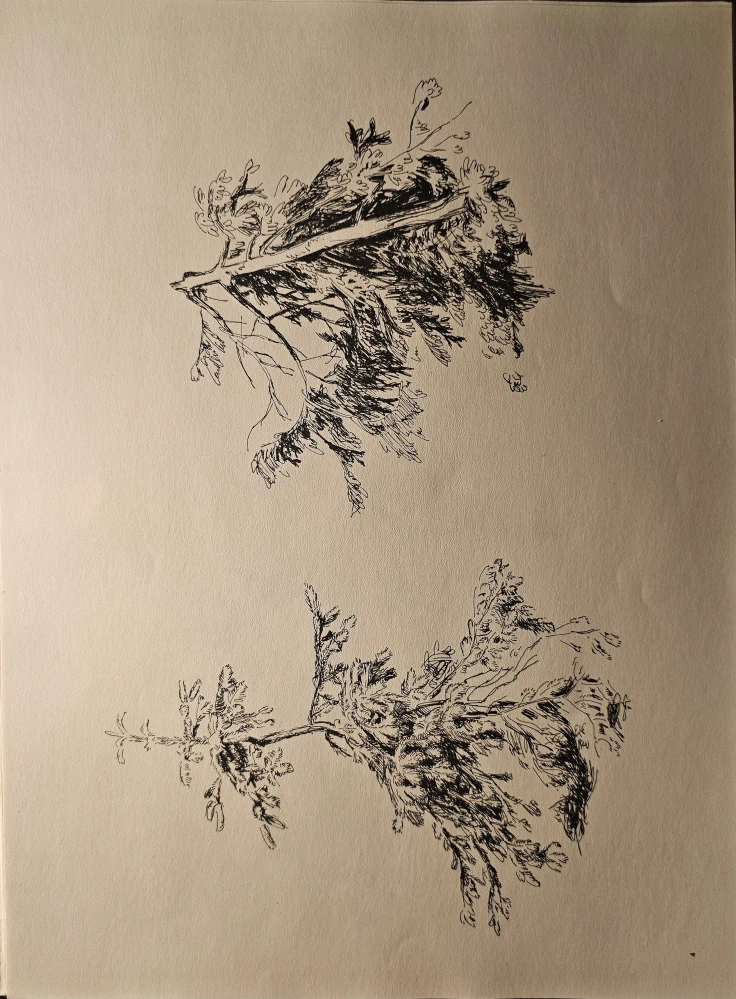 Emil Makovický: Vývraty