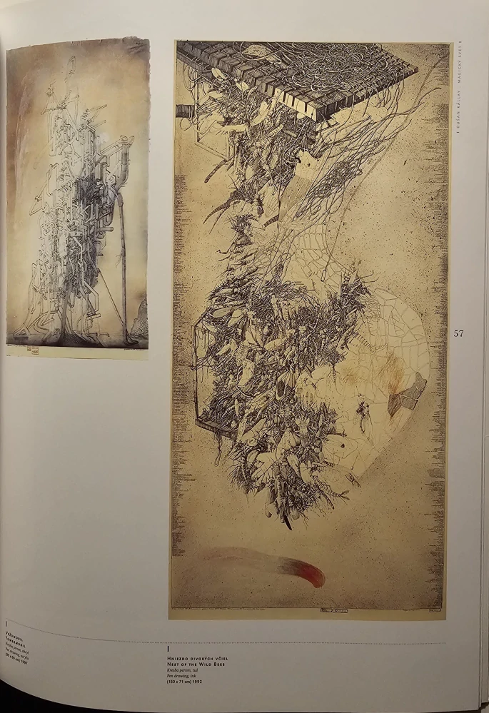 Dušan Kállay: Magický svet/Magical World