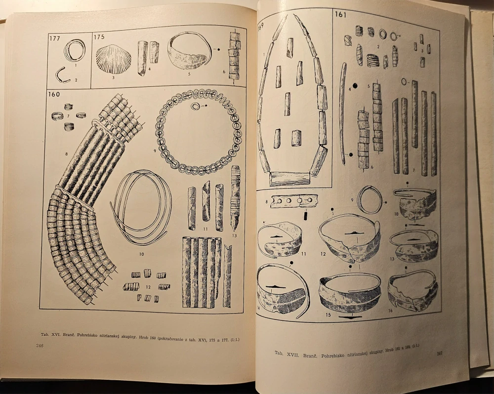 Pohrebiská zo staršej doby bronzovej v Branči