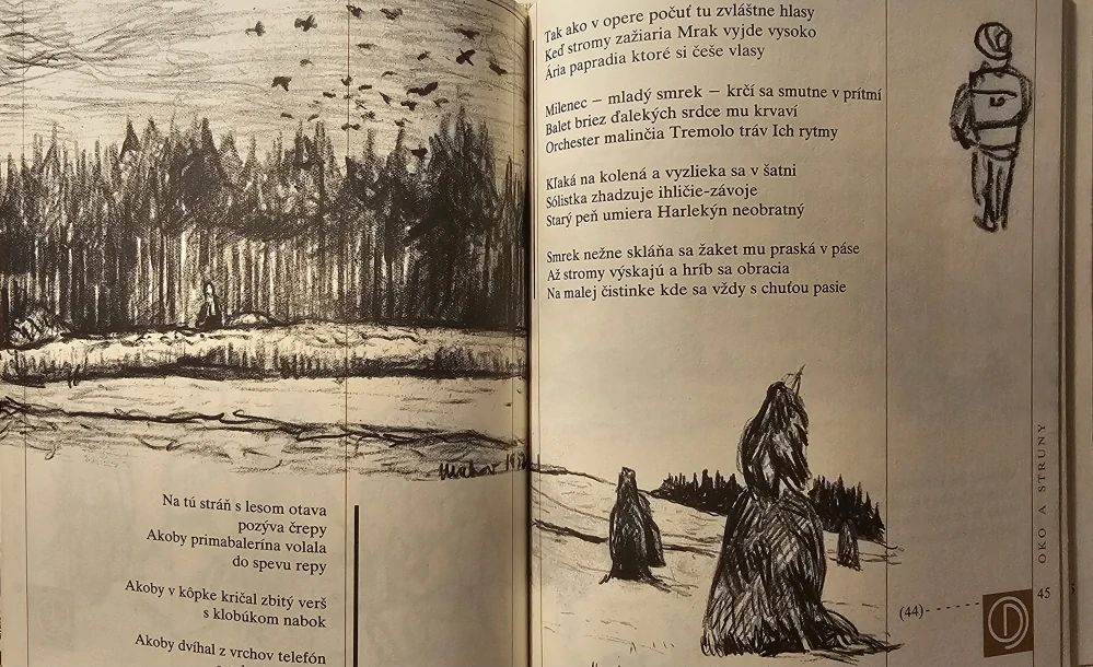 Oko a struny (Orest Dubay)