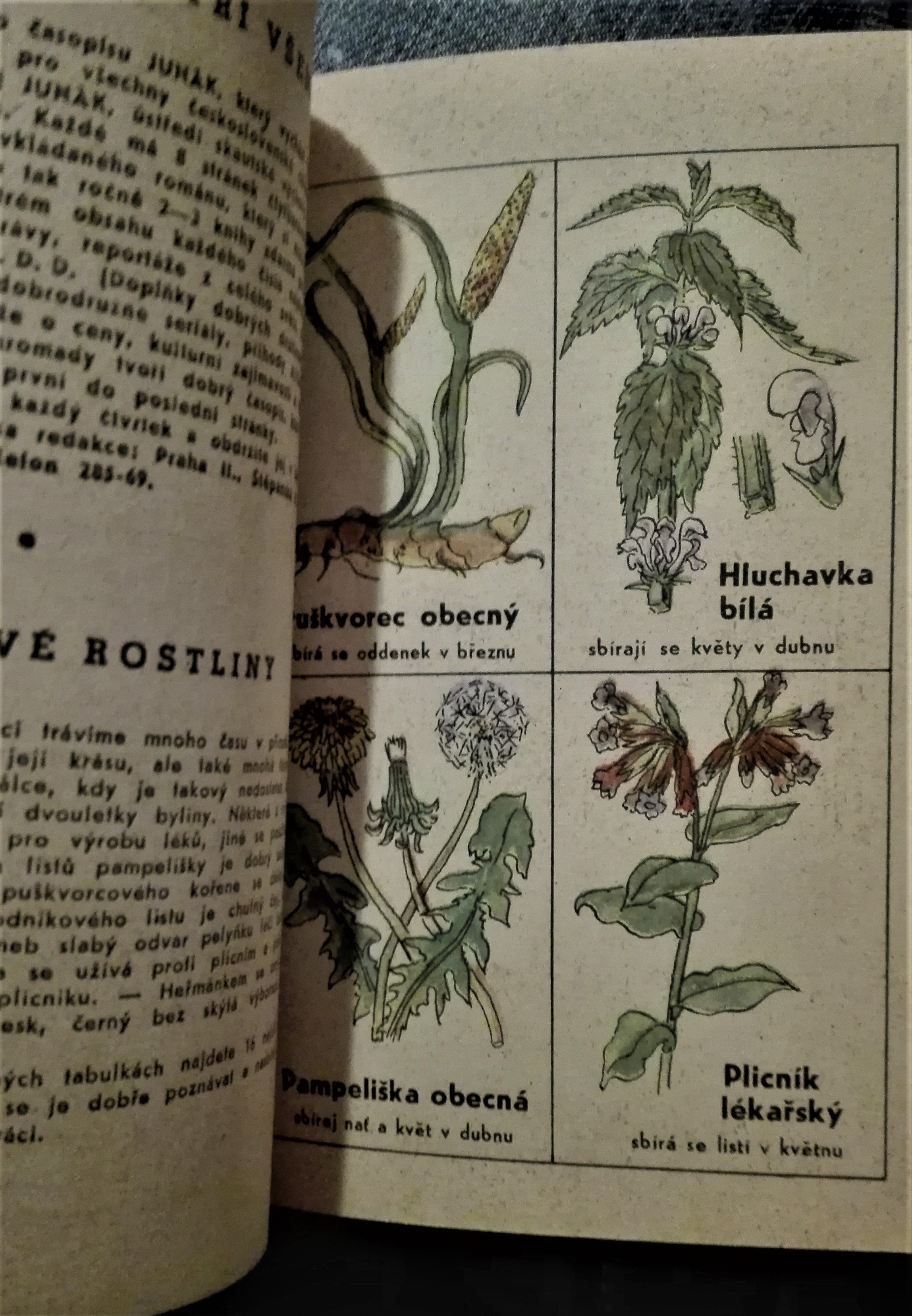 Kalendář Junáka 1948