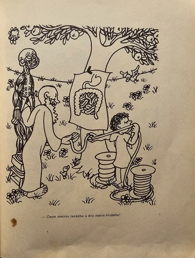 Stvorenie človeka/Stvorenie sveta