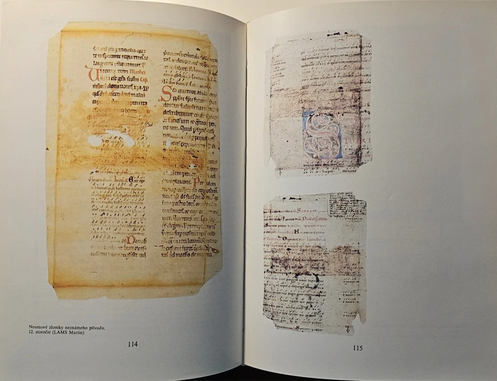 Dejiny hudobnej kultúry na Slovensku I.