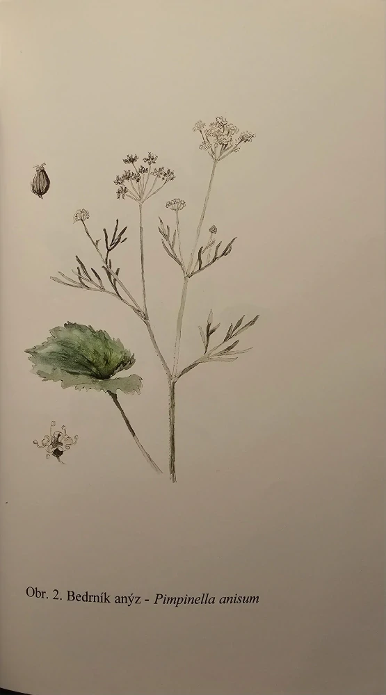Afrodisiaka (Dary bohyně lásky)