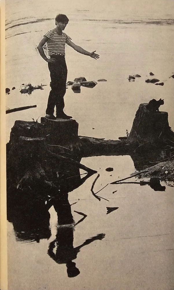 Panna zázračnica (Literárny scenár)