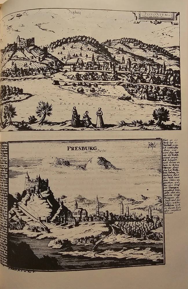 Predveká Bratislava (knižná séria "Odkryté dejiny")