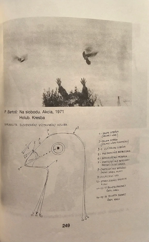 Slovenský variant moderny
