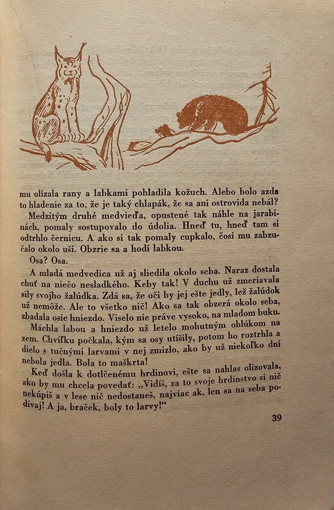 Mačkine dobrodružstvá (a iné rozprávky)