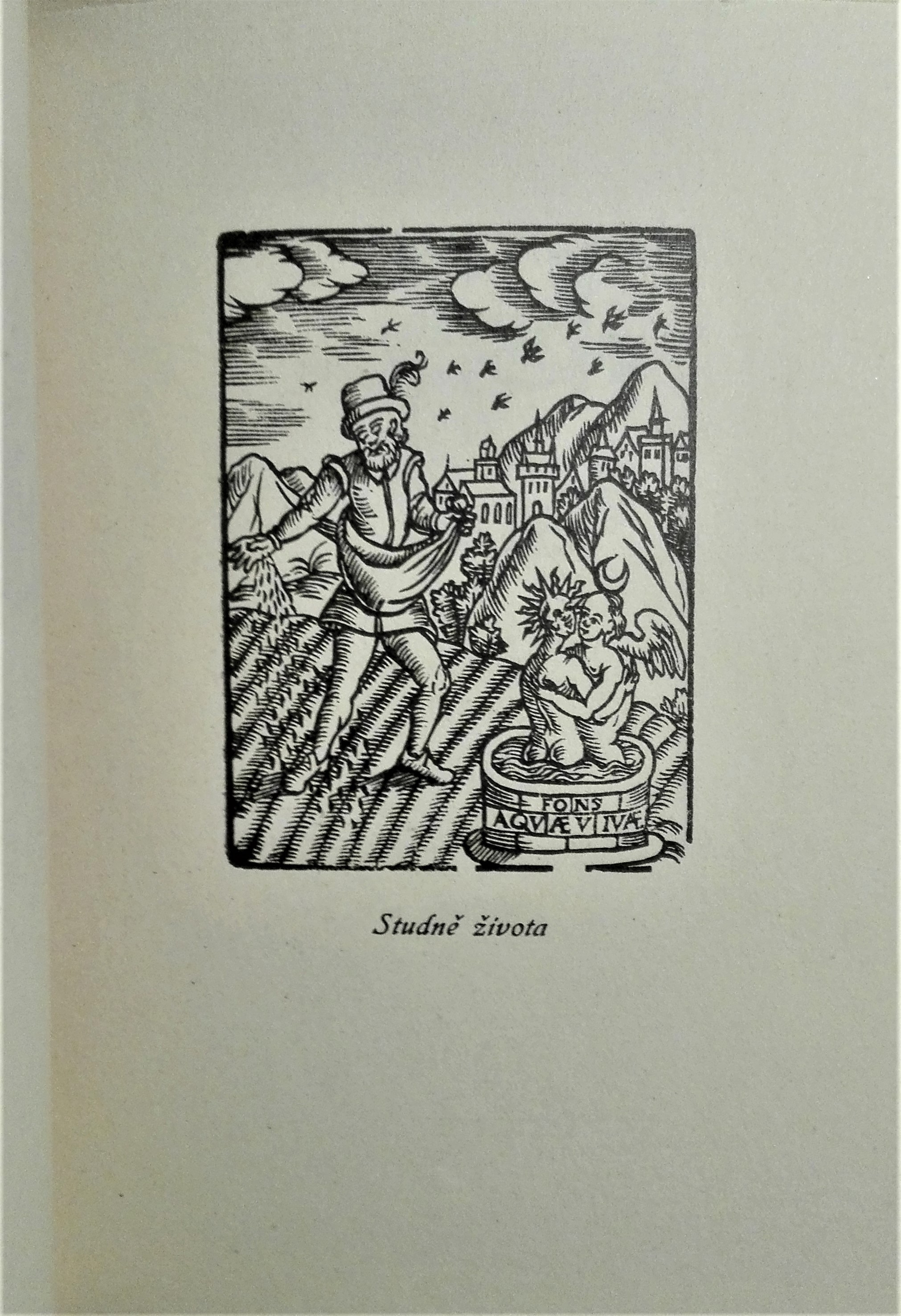 Zdraví a léčení v obrázcích našich předků