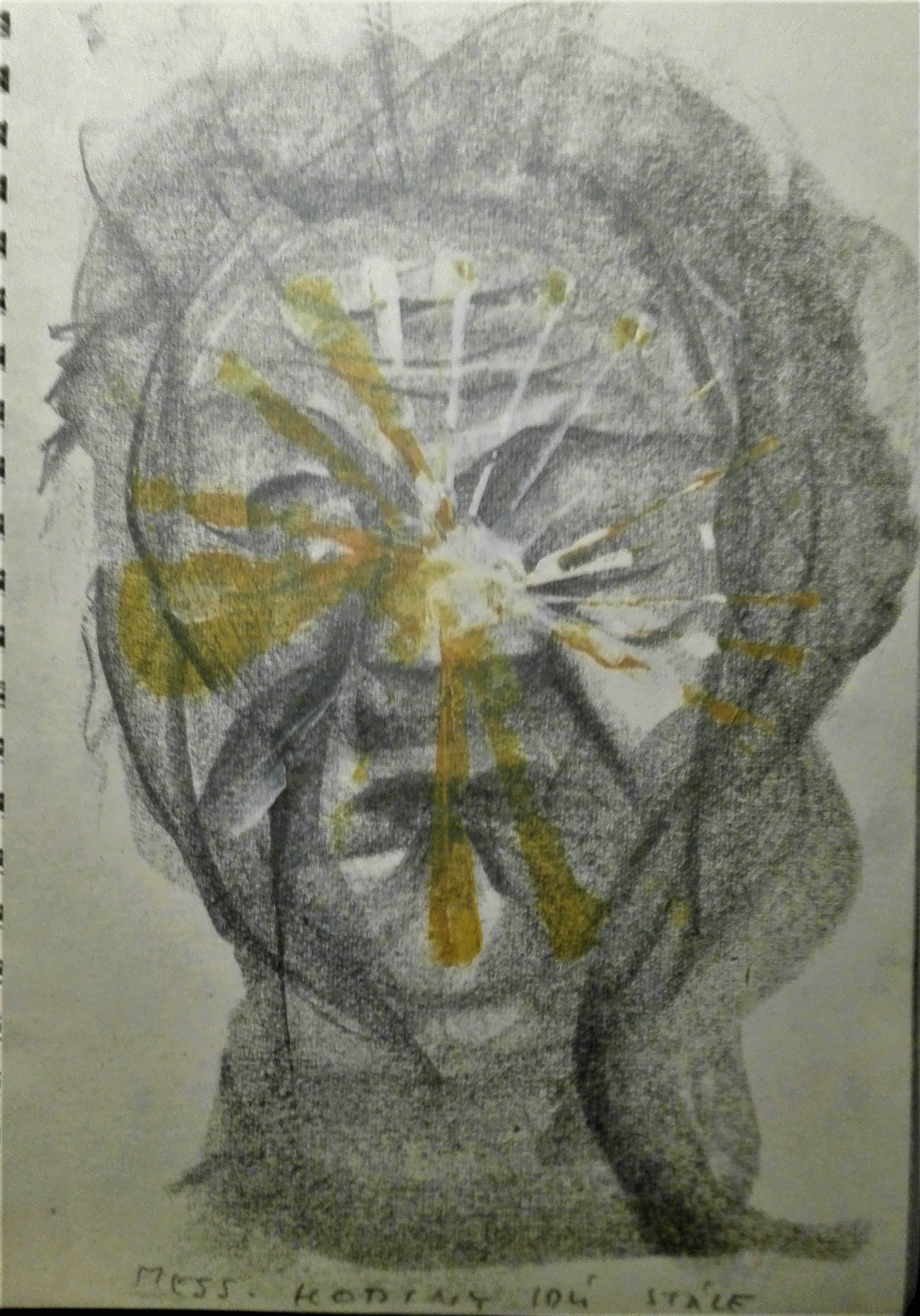 Rudolf Fila: Automatické kresby podľa plastík F. X. Messerschmidta